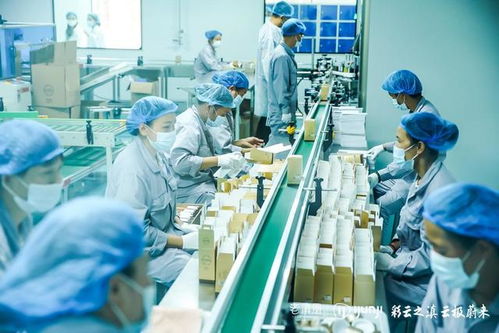 老滇凰云極工廠 以信息技術(shù)咨詢(xún)服務(wù)為引擎，驅(qū)動(dòng)云南蜂業(yè)現(xiàn)代化轉(zhuǎn)型